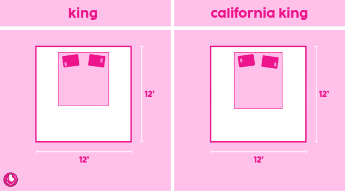 California king 2024 to king