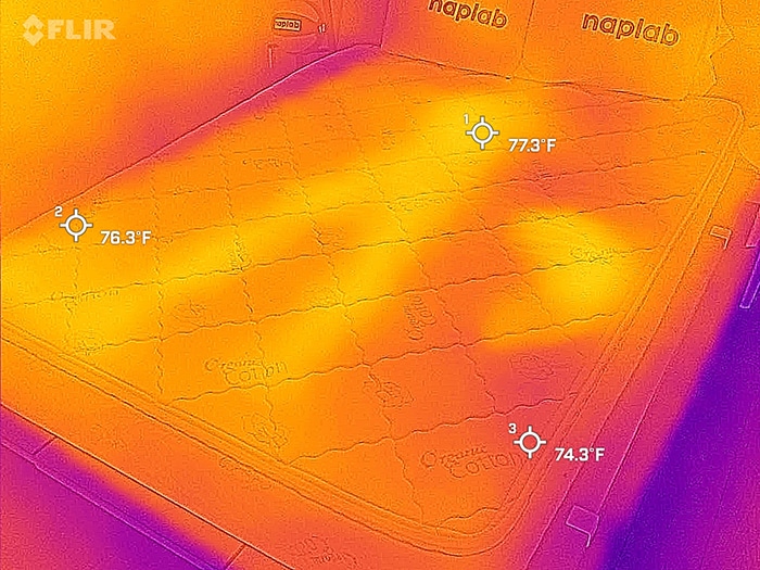 Sleep EZ Organic Latex Mattress Review 10 DataDriven Tests