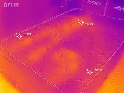 Logan And Cove Choice 2024 After Cooling Test Logan And Cove Choice 2024 After Cooling Test