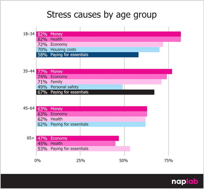 Stress Causes By Age Group Stress Causes By Age Group