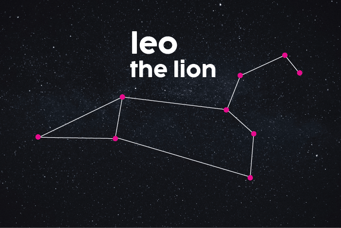 Leo The Lion Naplab