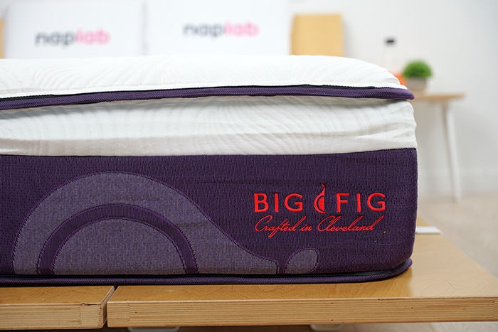 Big Fig Luxe Logo Big Fig Luxe Logo