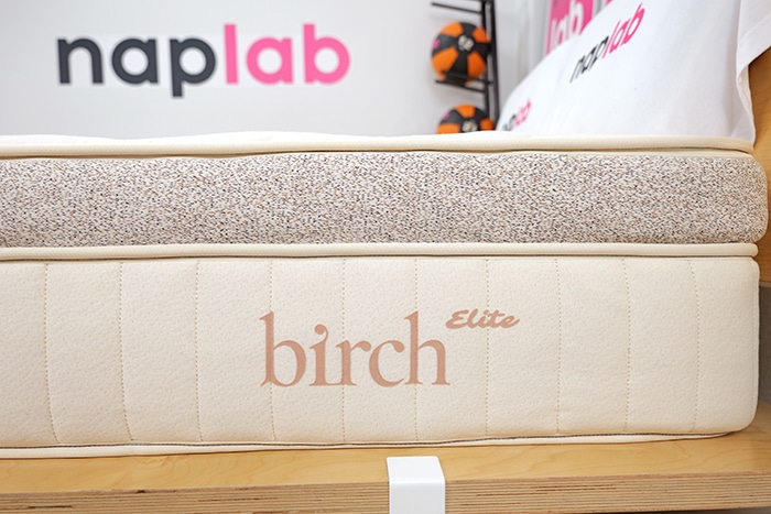 Birch Elite Logo Birch Elite Logo