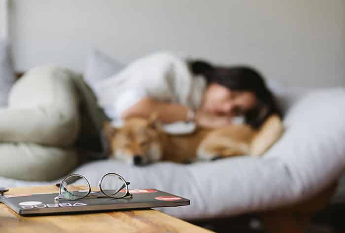 Dog Healthy Sleep Habits 5