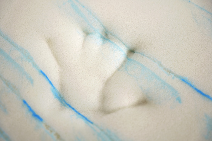 Dreamcloud Ultra Hybrid Memory Foam Imprint Dreamcloud Ultra Hybrid Memory Foam Imprint