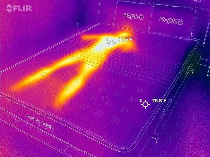 Avocado Extra Firm Before Cooling Test Avocado Extra Firm Before Cooling Test