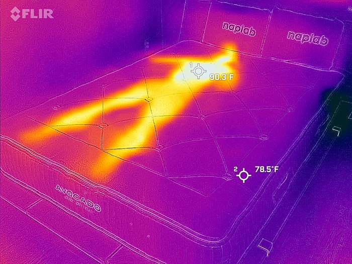 Avocado Wool Before Cooling Test