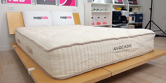 Avocado Wool Hero Image