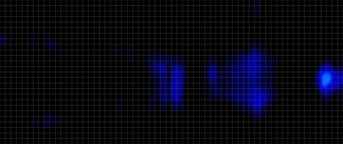 Plushbeds Signature Bliss Pressure Map Back Sleeping