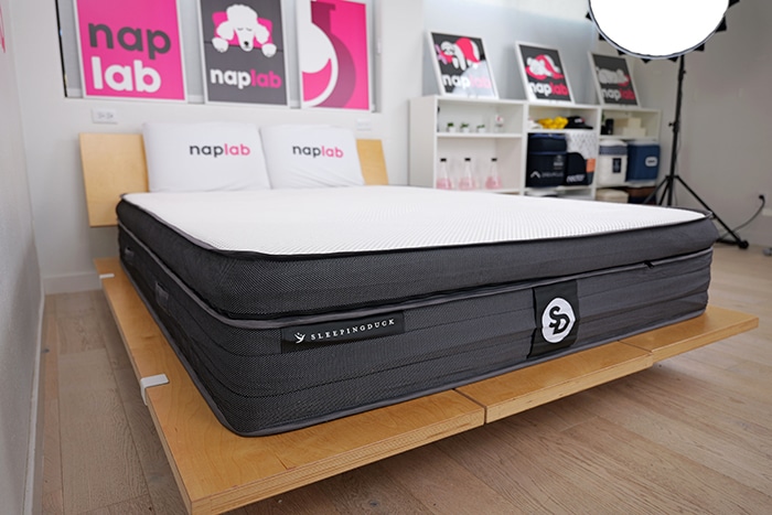 Sleeping Duck Mach Ii